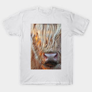 Highland Cow T-Shirt